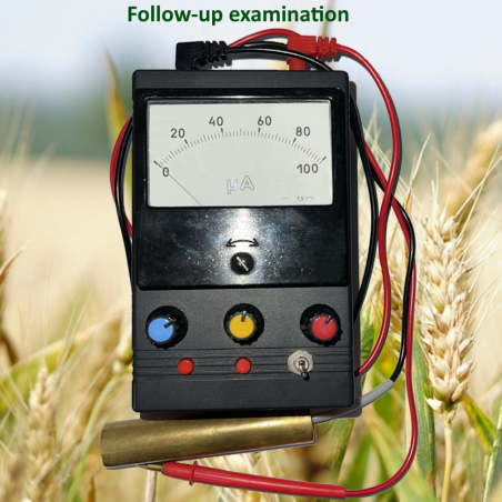 Follow up E.V.A. Examination