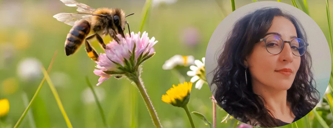 Fatma Han